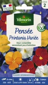 Pensée Printania Variée
